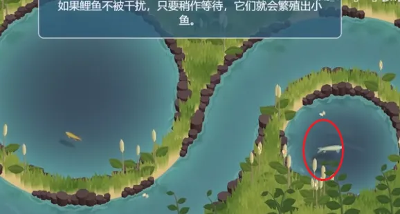 锦鲤农场(锦鲤养殖游戏) 锦鲤农场(锦鲤养殖游戏)