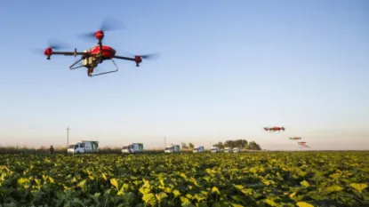 ����ũ��2025�ٷ�����