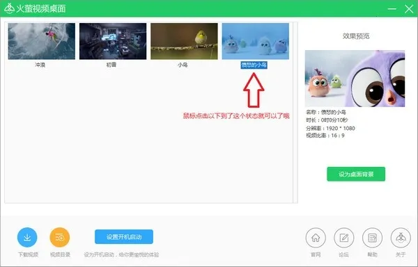 ��ө��Ƶ����2025�ٷ�����