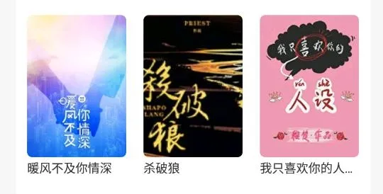 ׷��С˵(С˵�Ķ�ƽ̨)