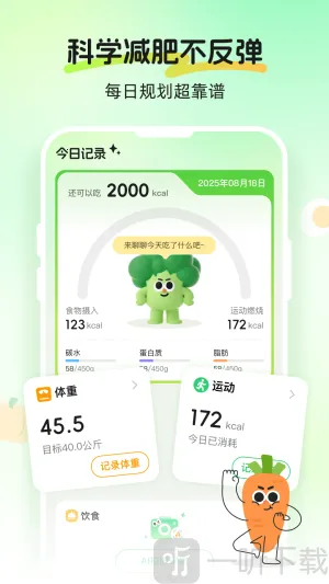 Calmomo2026���ذ�װ