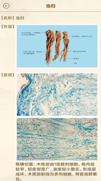 ��ҽ���谲׿���ֻ���