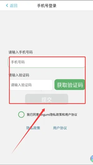 lingumi�׶�Ӣ������2026���°汾