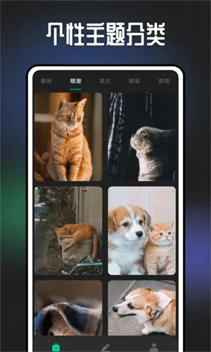 ң���ֻ���ֽ2026�ٷ����°汾