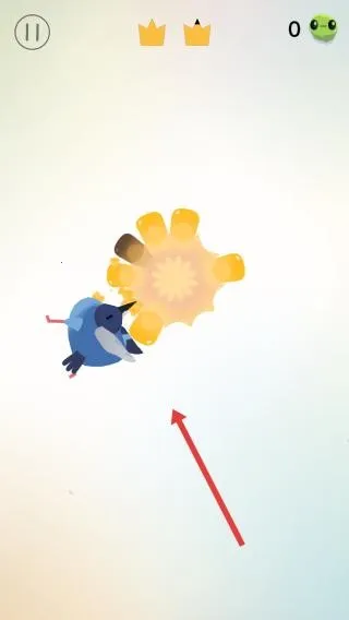 pigeonpop