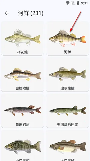 鱼星球2026最新版本 鱼星球2026最新版本
