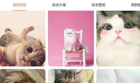 萌宠翻译器 萌宠翻译器