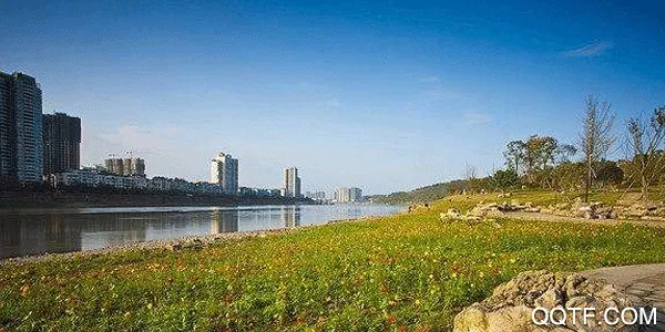 ������ý