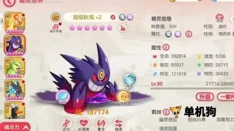 ��������ƽ��������ʯ