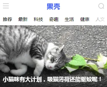 ����2026���°汾