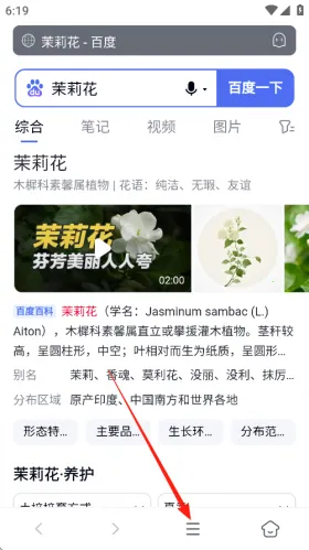 ���������ƻ����