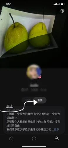 �ɻ�(�뷨�罻����)