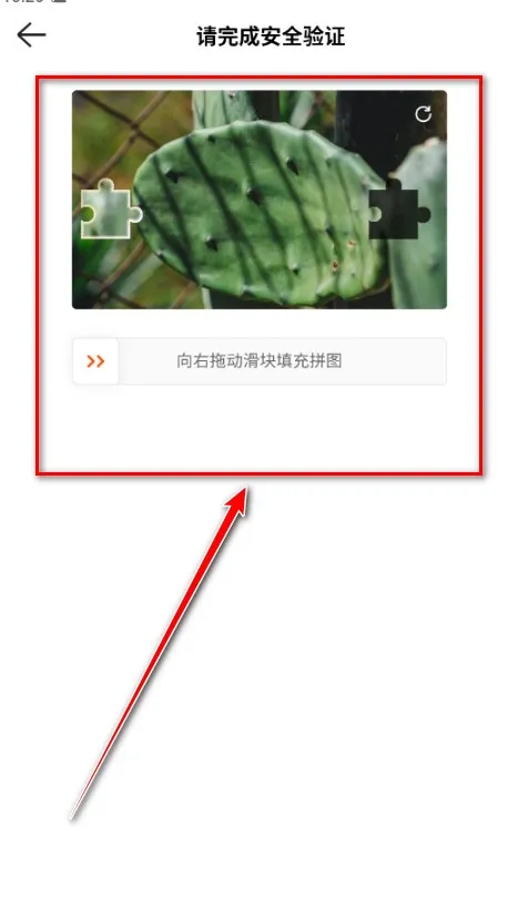 kwai���ֹ��ʰ�����