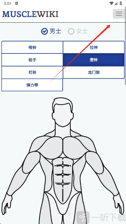 Muscle Wiki