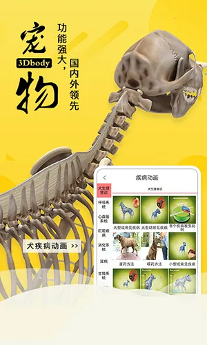 3dbody����app�������