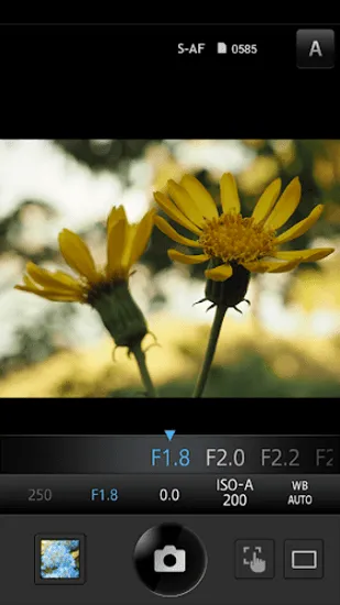OLYMPUS Image Share2026�ٷ����°汾