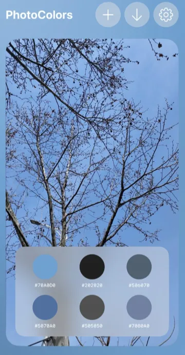 PhotoColors2026���°汾