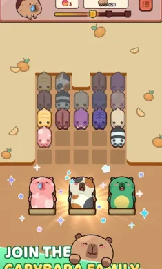 ˮ�����2026���°汾